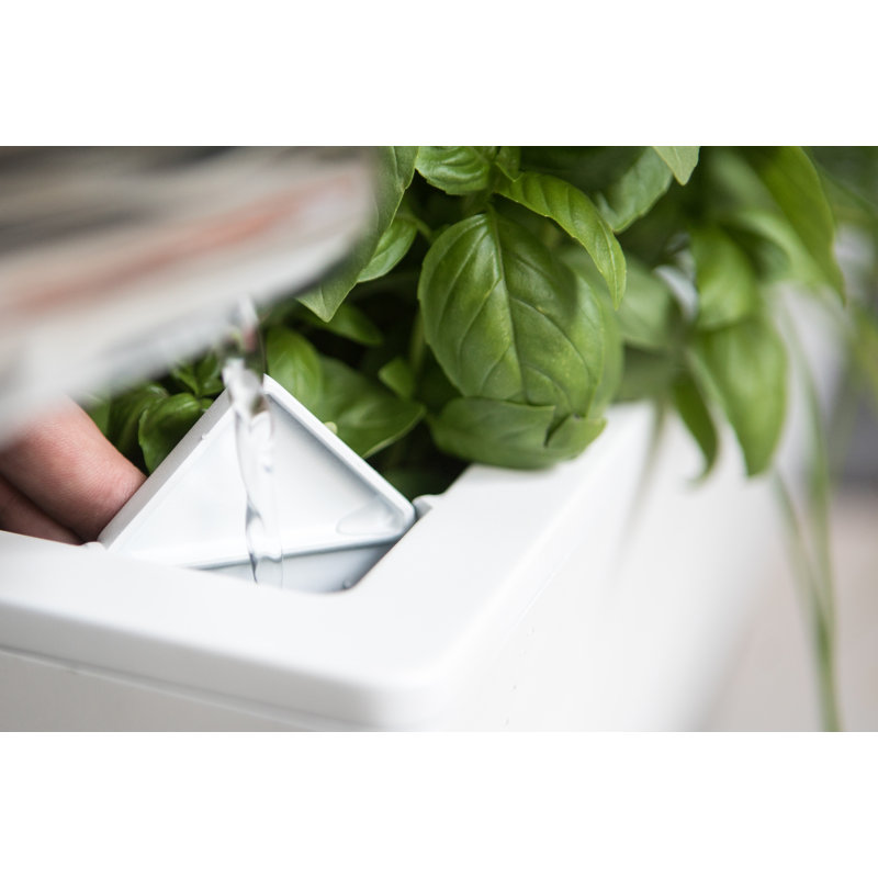 Symple Stuff Trotwood SelfWatering Plastic Wall Planter & Reviews